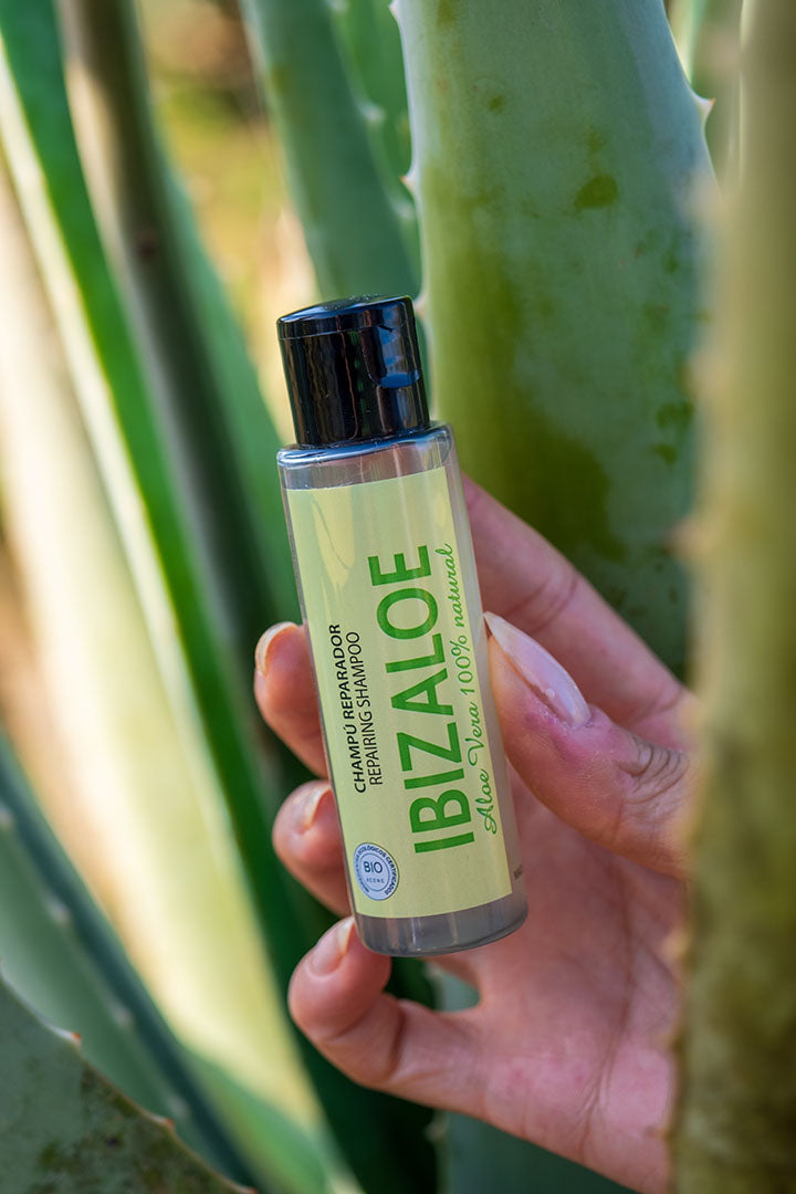 HAARREPARATURSHAMPOO MIT ALOE VERA 40 ml
