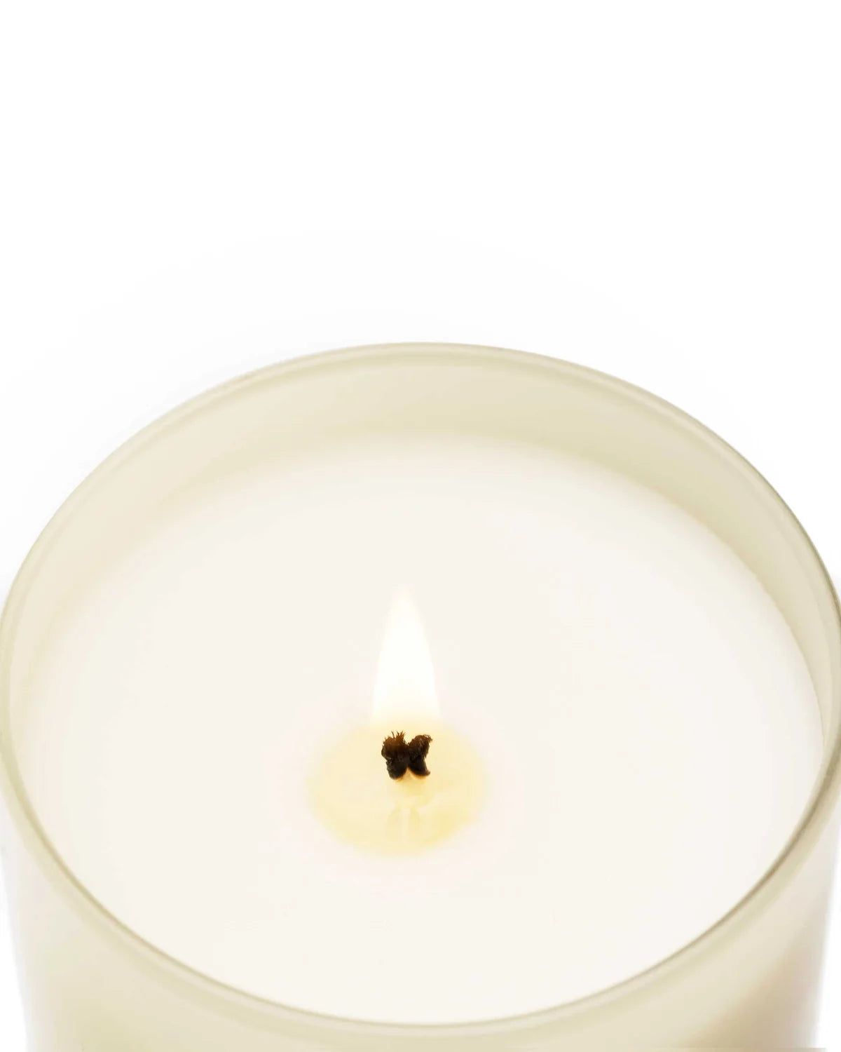 Cereria Mollá Velvet Wood 230g Candle