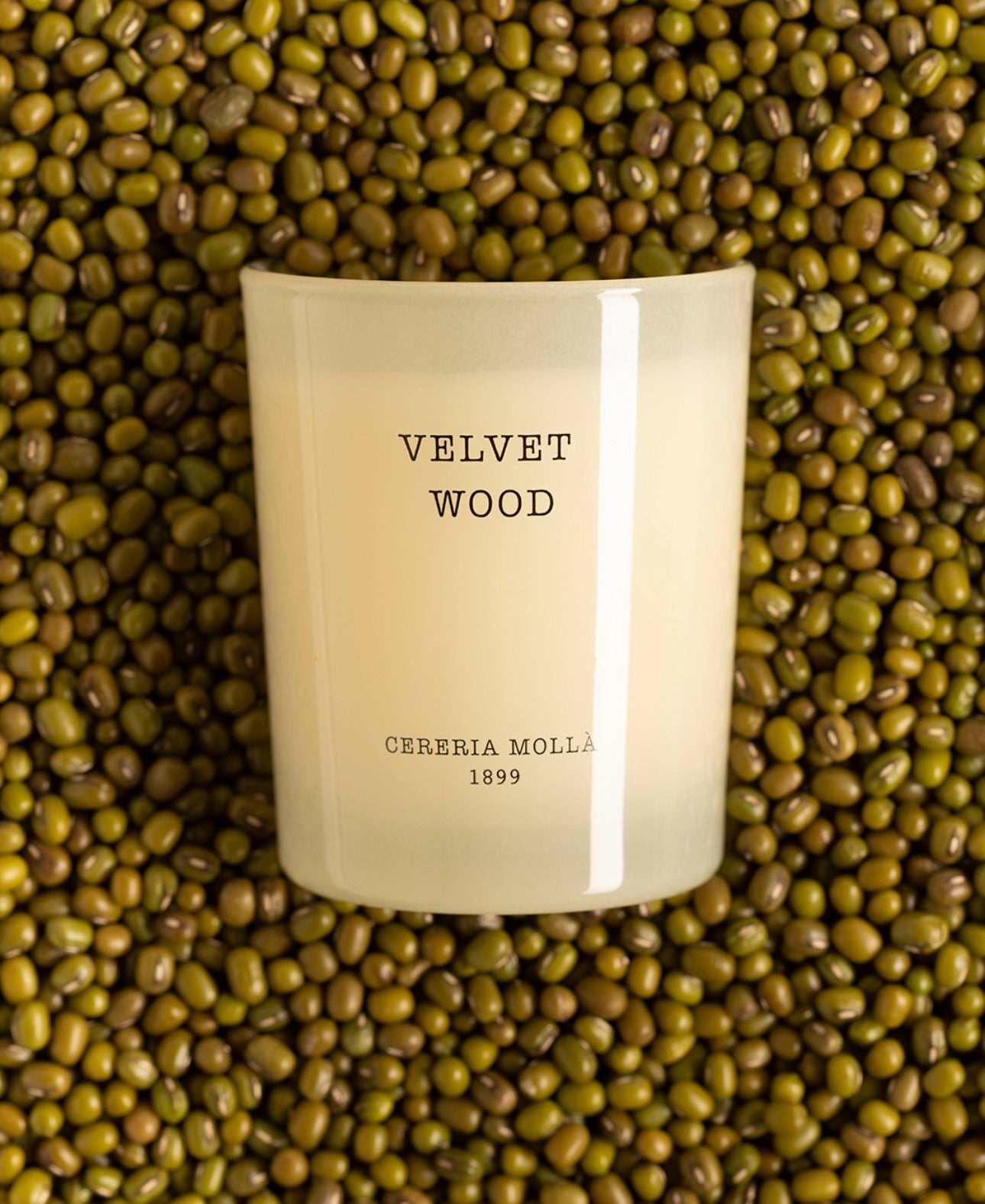 Cereria Mollá Kerze "Velvet Wood"