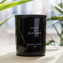 Lade das Bild in den Galerie-Viewer, Cereria Mollá Kerze "Basil & Mandarin"