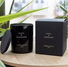 Lade das Bild in den Galerie-Viewer, Cereria Mollá Kerze "Basil & Mandarin"