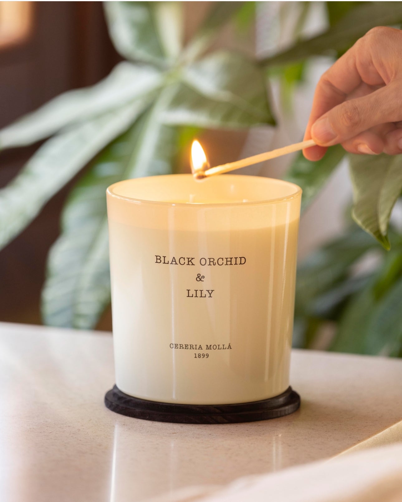 Cereria Mollá Kerze "Black Orchid & Lily"