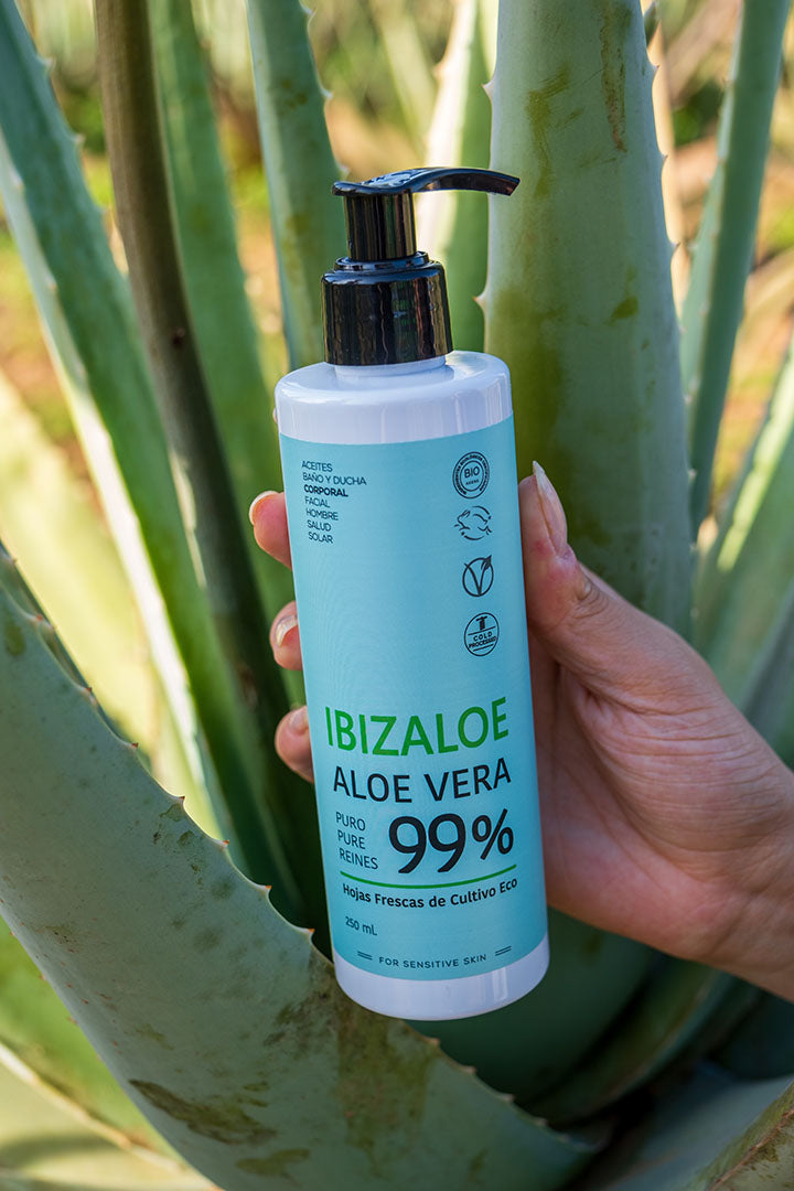 Reines Aloe Vera Gel 99% aus frischen Blättern 250 ml