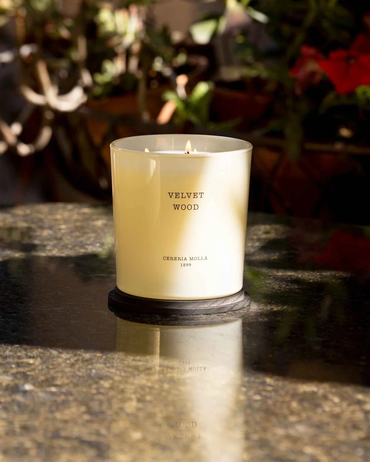 Cereria Mollá Velvet Wood XL Candle