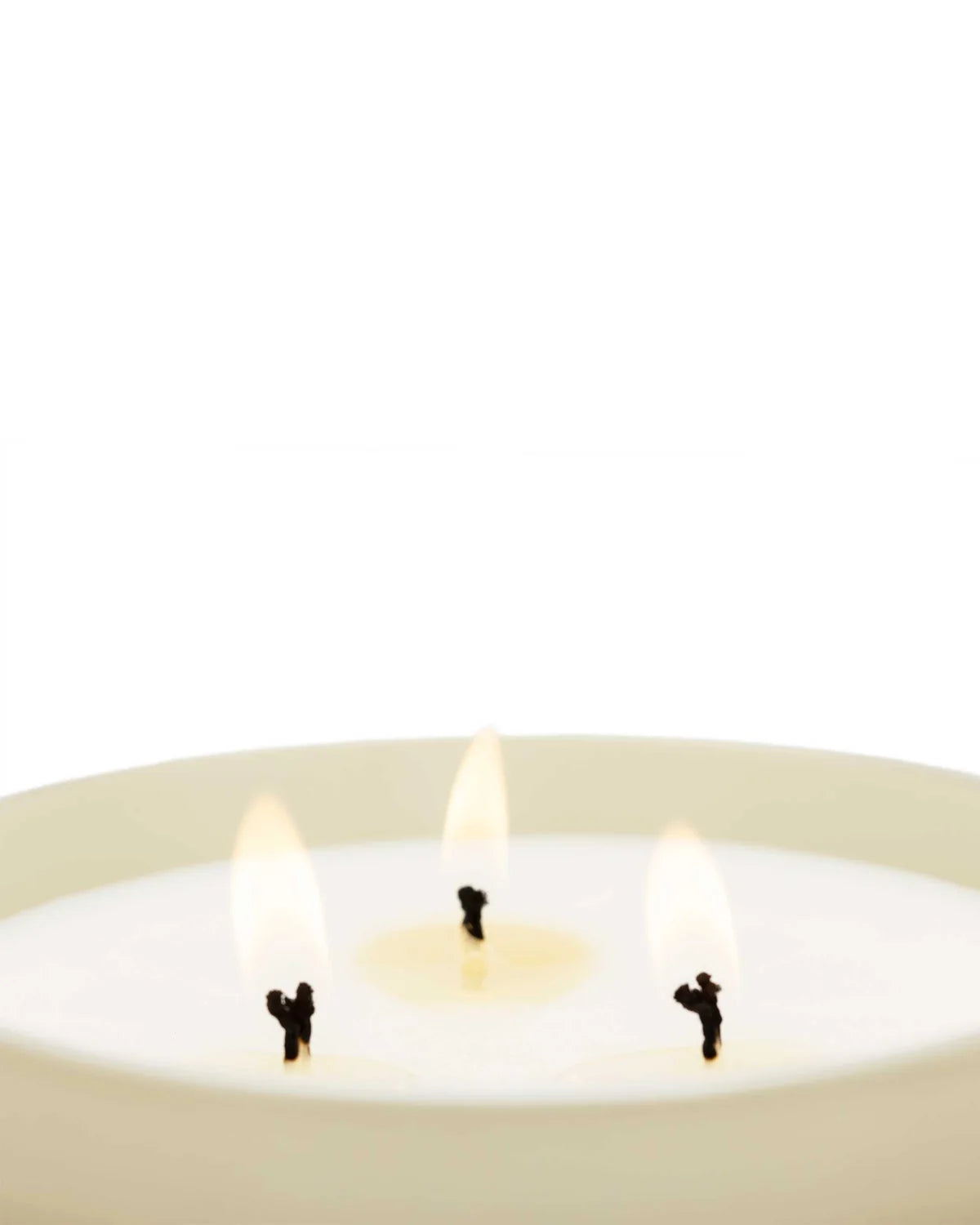 Cereria Mollá Velvet Wood XL Candle