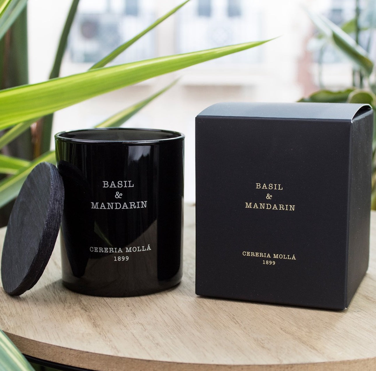 Cereria Mollá Kerze "Basil & Mandarin"